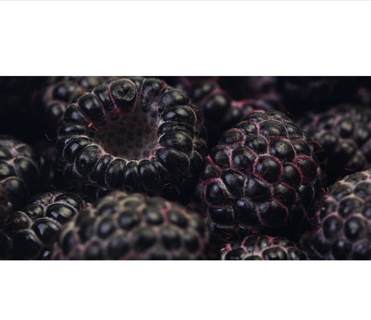 blackBerry_Mango