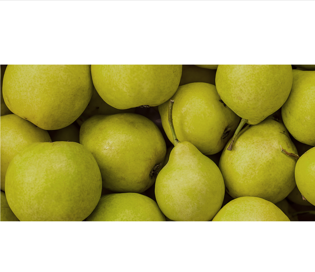 English_Pear&Pomegranate