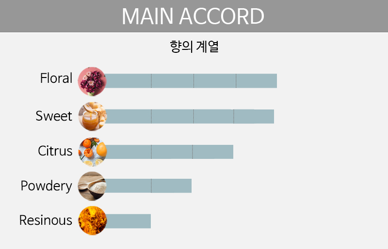 main accord