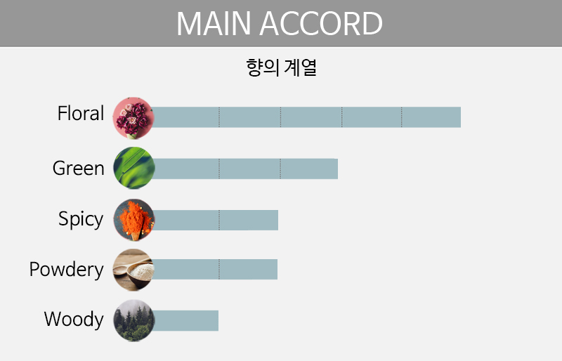 main accord