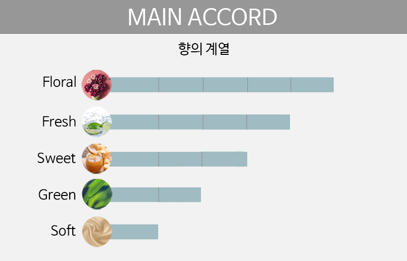 main accord