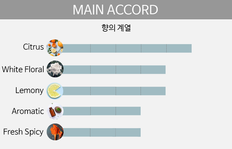 main accord