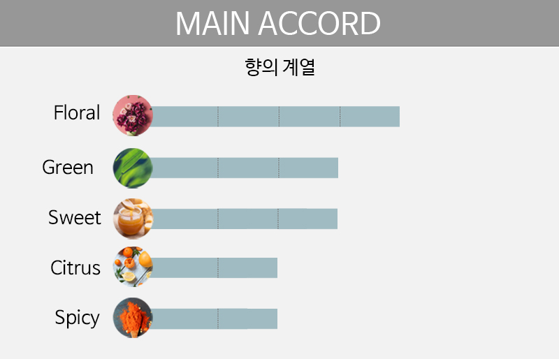 main accord