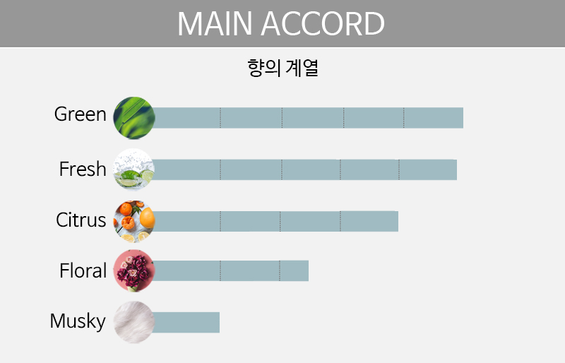 main accord