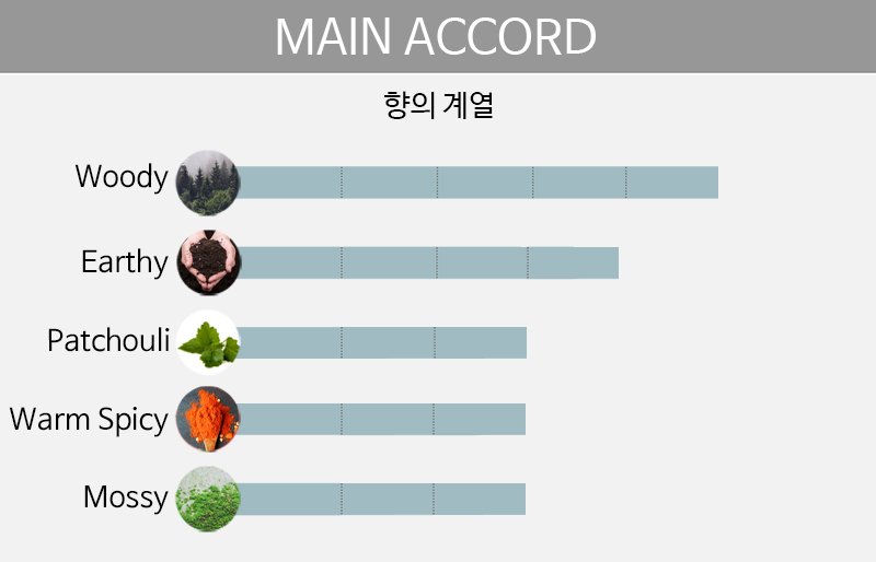 main accord