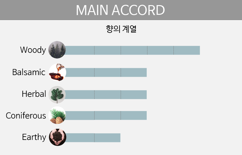 main accord