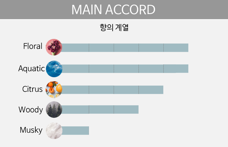 main accord