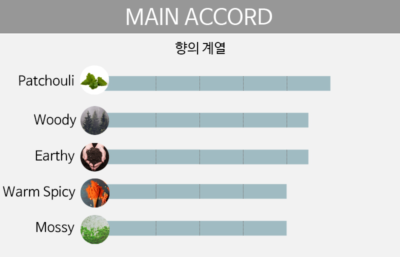 main accord