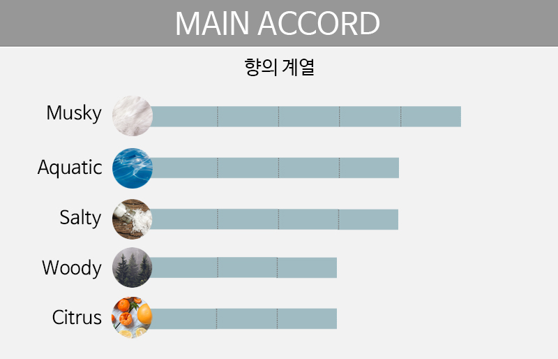 main accord