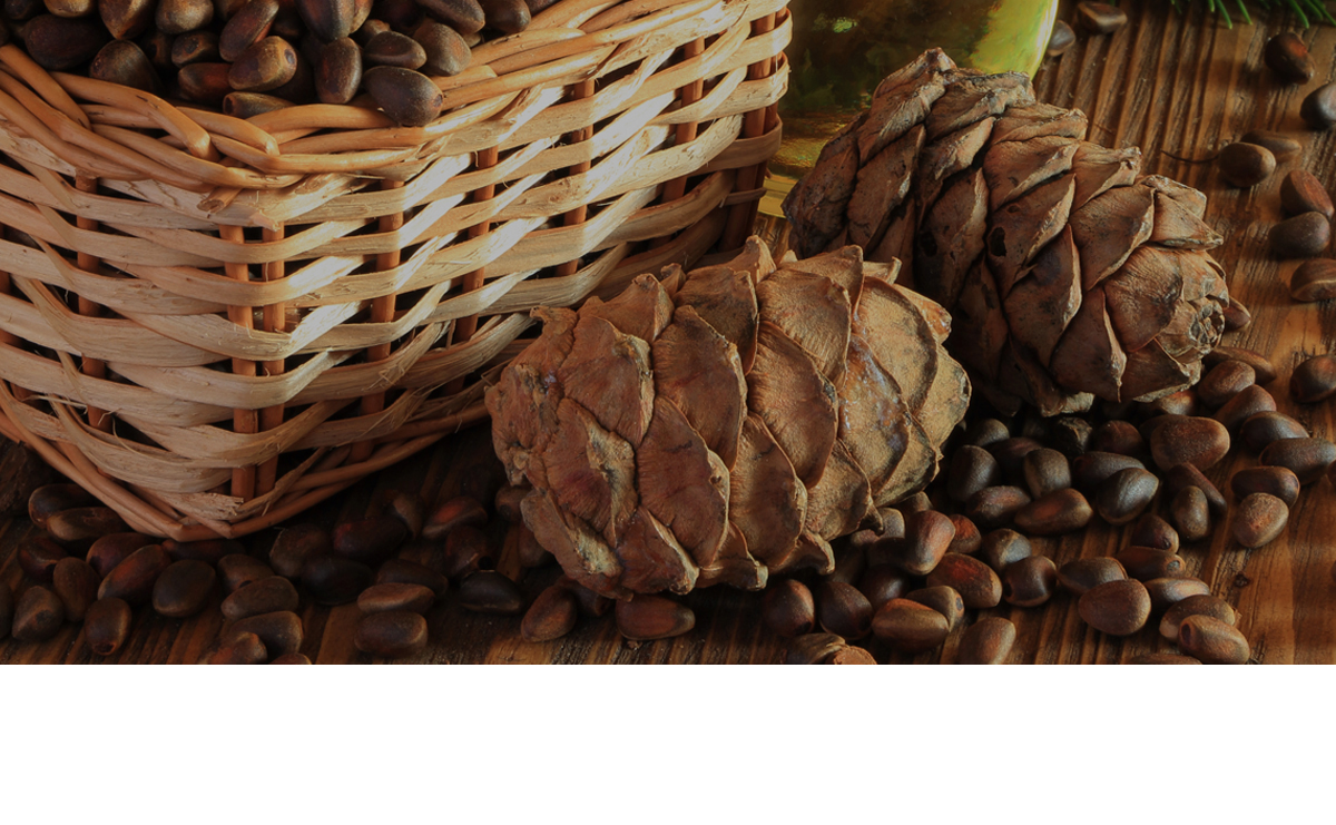 cedarwood